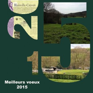 voeuxbc2015